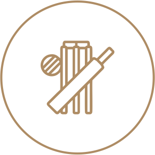 Cricket Pitch